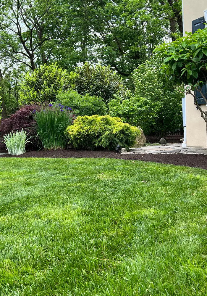 neat landscaping job for residential lawn